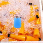 5pcs Reusable PE Cooler Ice Packs, 5 Lightweight Freezer Blocks