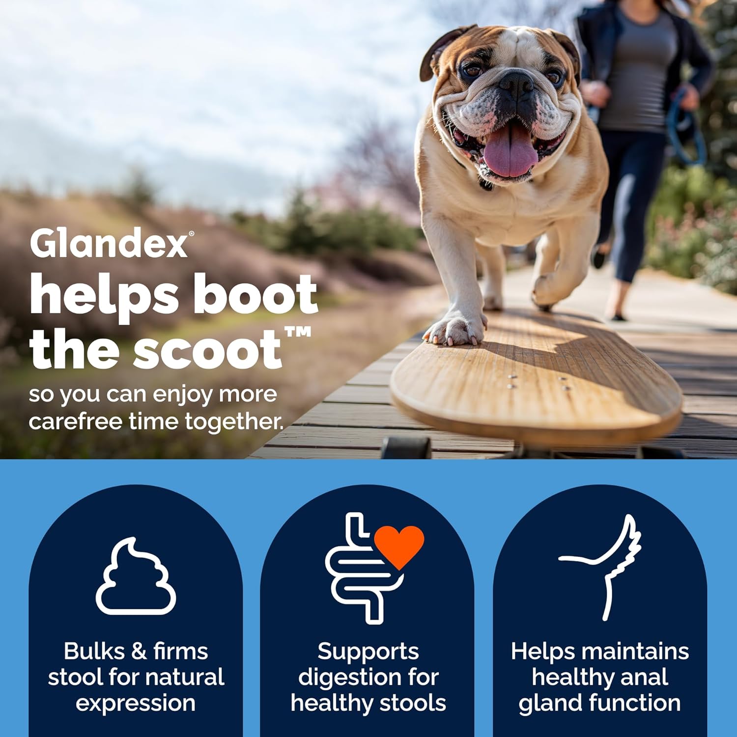 Glandex Anal Gland Soft Chew Treats with Pumpkin for Dogs Digestive Enzymes, Probiotics Fiber Supplement for Dogs