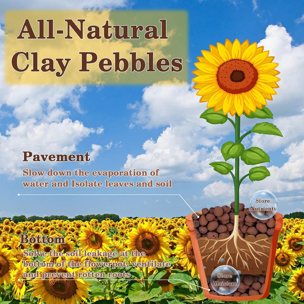 2LB Leca Clay Pebbles for Plants, 4mm-16mm Clay Balls for Hydroponic | Drainage, Reusable, Aeration, Moisture
