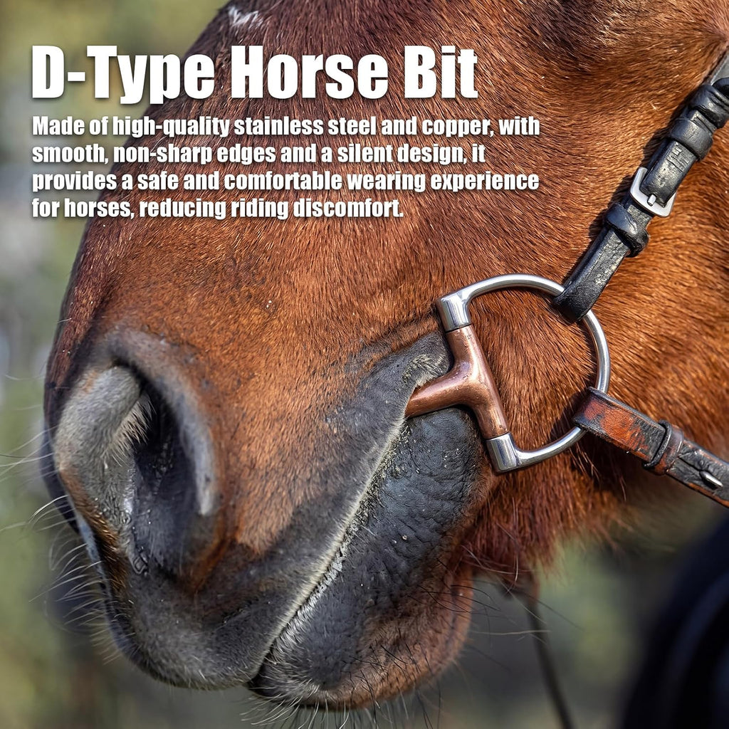 Stainless Steel Ring O & d Snaffle Bit for Horses