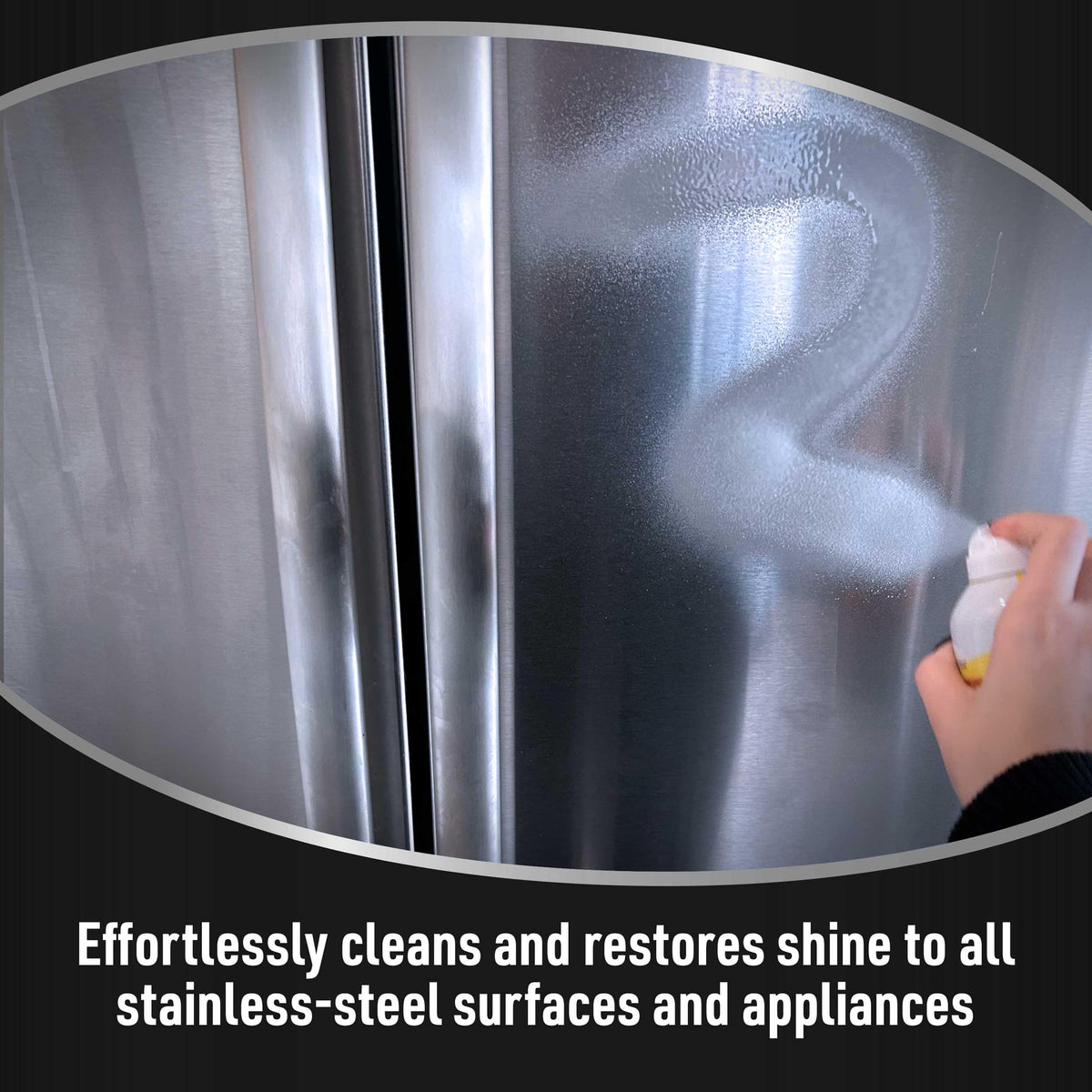Brands Spot Free Stainless Steel Cleaner, 12 oz. Spray Can