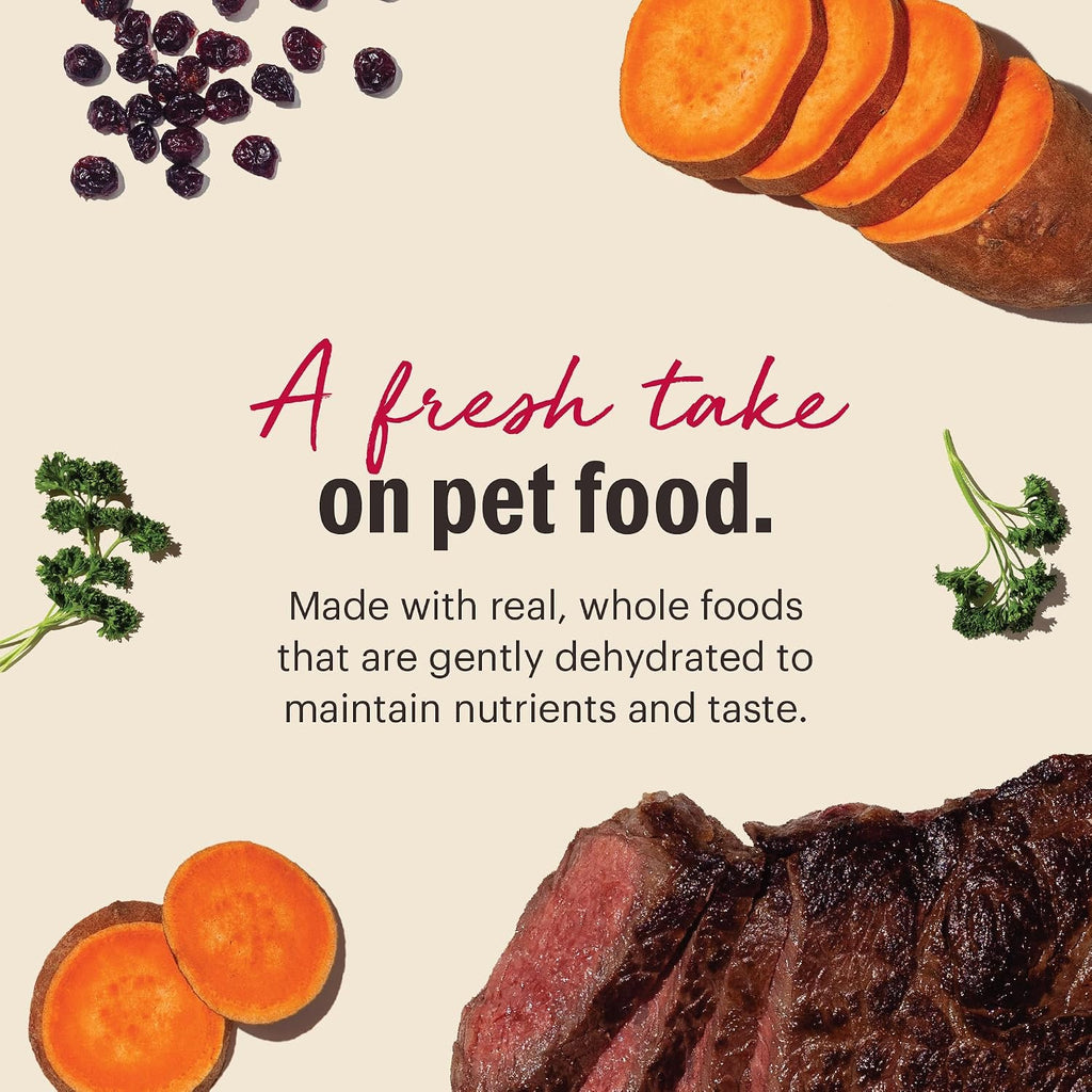 Wholemade Grain Free Beef Recipe, Human Grade Dehydrated Dog Food, Just Add Water, Supports Healthy Digestion, Skin &