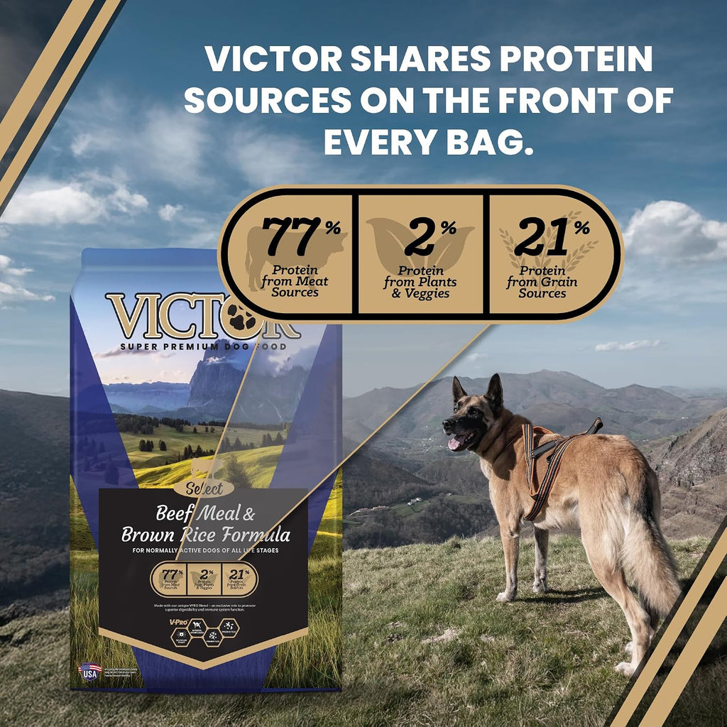 Select Gluten-Free Beef Meal & Brown Rice Dry Dog Food, 30 lb