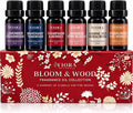 Premium Fragrance Oil Set for Candle Making, Soap, Wax Melts and Diffusers | Concentrated Scented Oils for Home