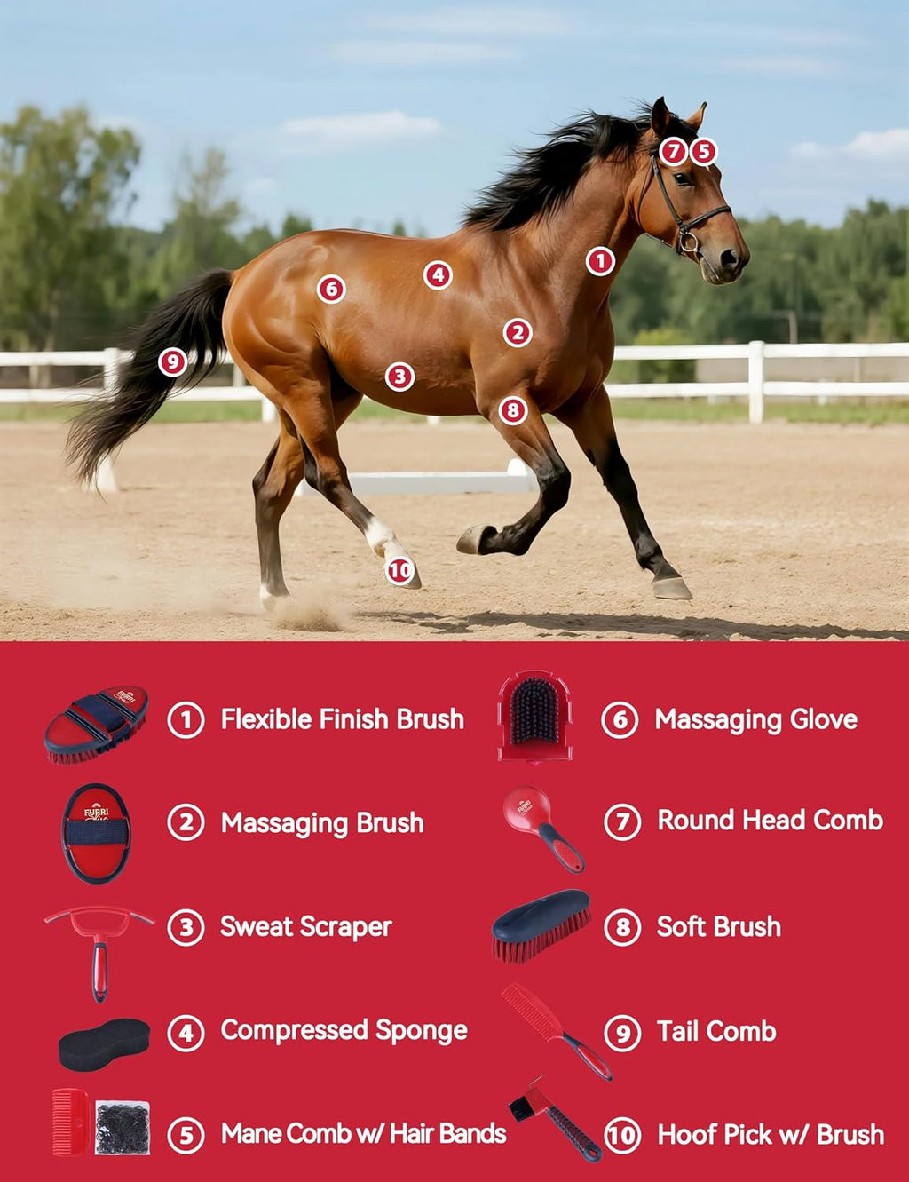 11-Piece Horse Grooming Kit with Waterproof Tote Shadowberry