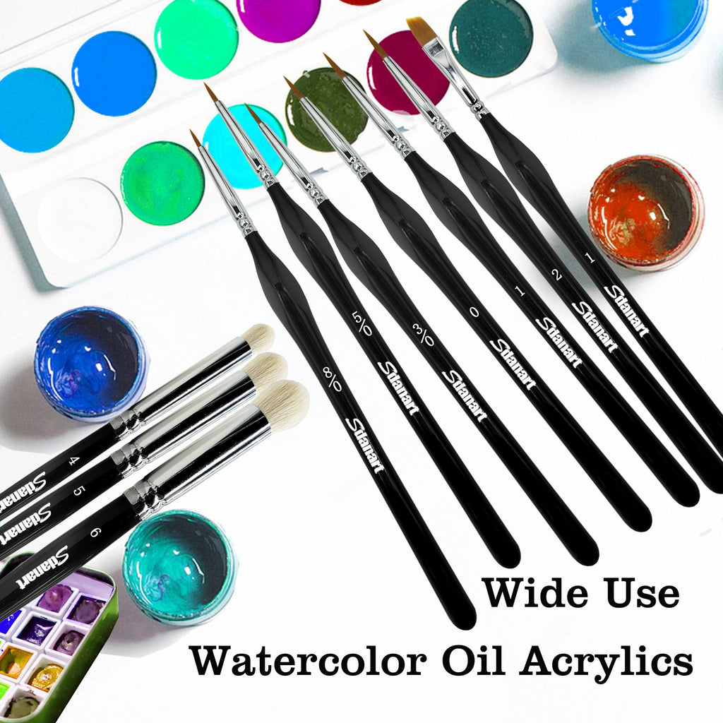 10 PCS Miniature Paint Brushes Drybrush Set,Detail Paint Brushes