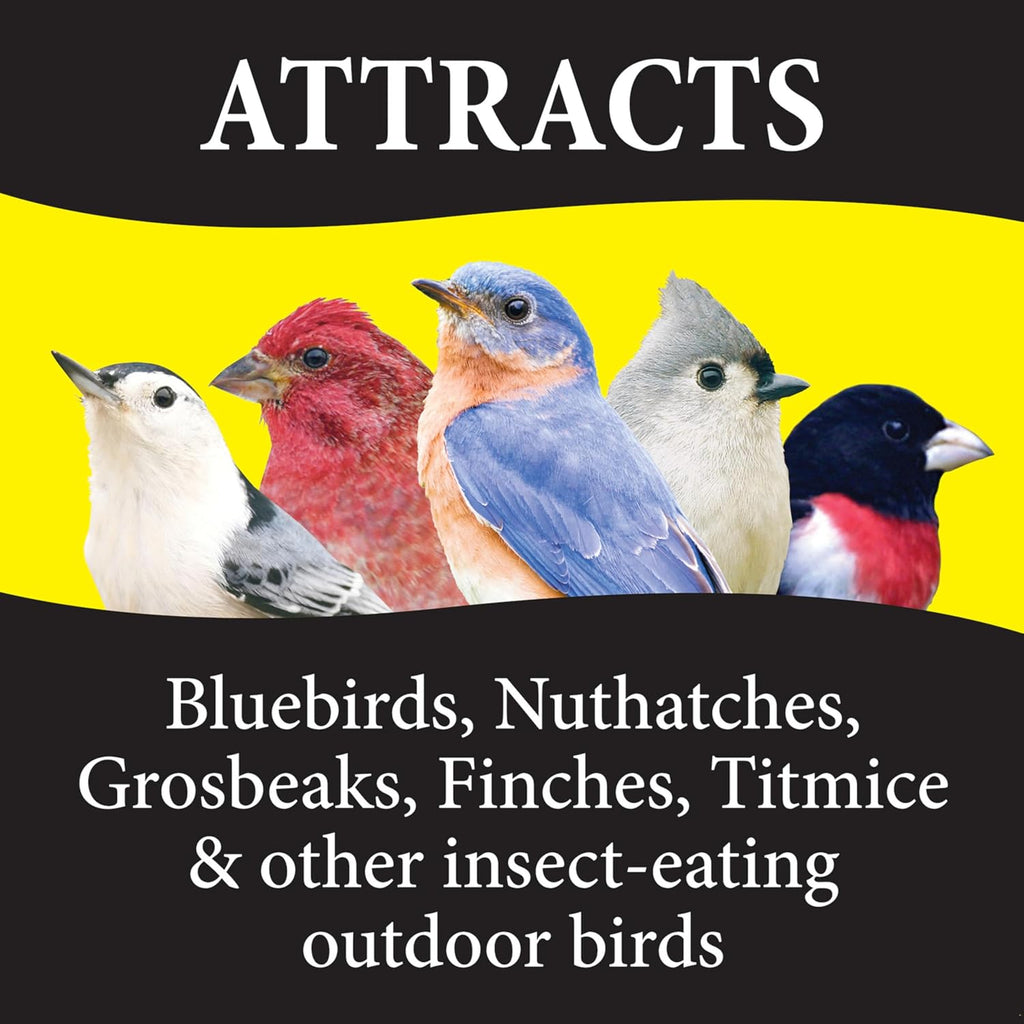 Bugs N Berries Bird Seeds for Outside Wild Birds, 4.5 Lbs | Three-bug blend with dried mealworms, raisins