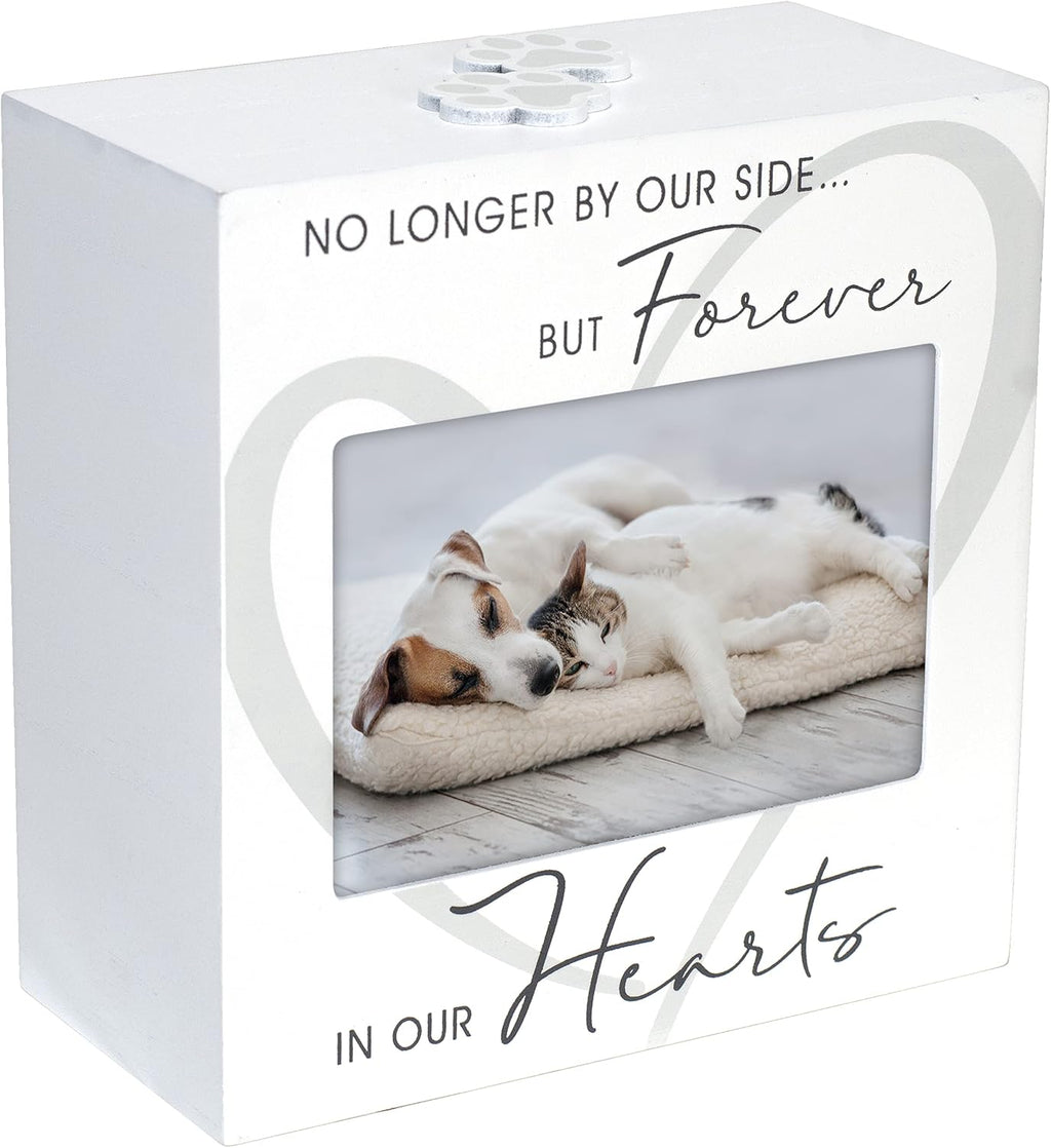 Pet Memorial Urn with 3.5x5 Photo Frame, Ashes Storage, White
