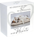 Pet Memorial Urn with 3.5x5 Photo Frame, Ashes Storage, White