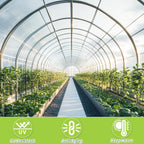 6 Mil Greenhouse Plastic Sheeting, 10 x 50 FT Clear Polyethylene Film