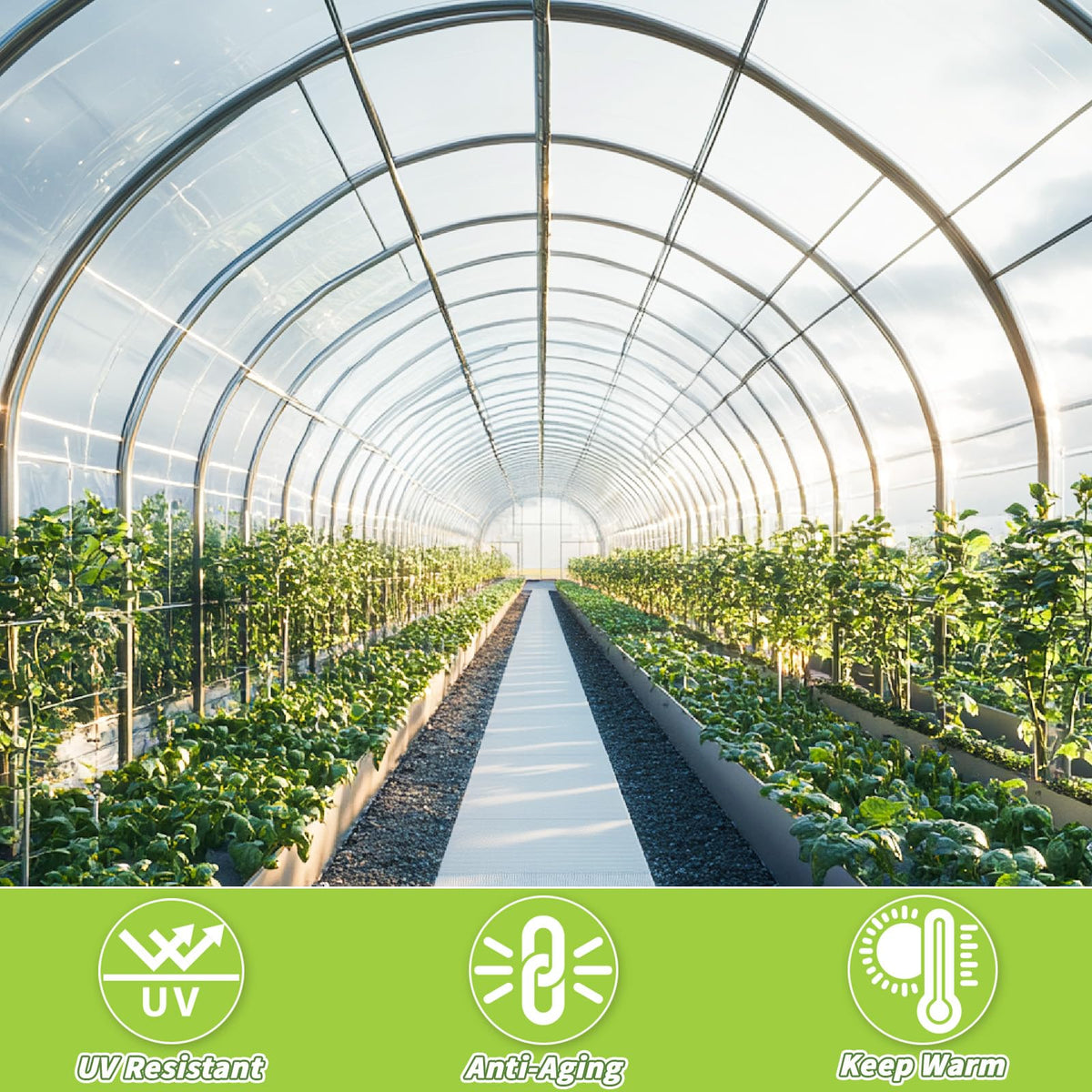 6 Mil Greenhouse Plastic Sheeting, 10 x 50 FT Clear Polyethylene Film