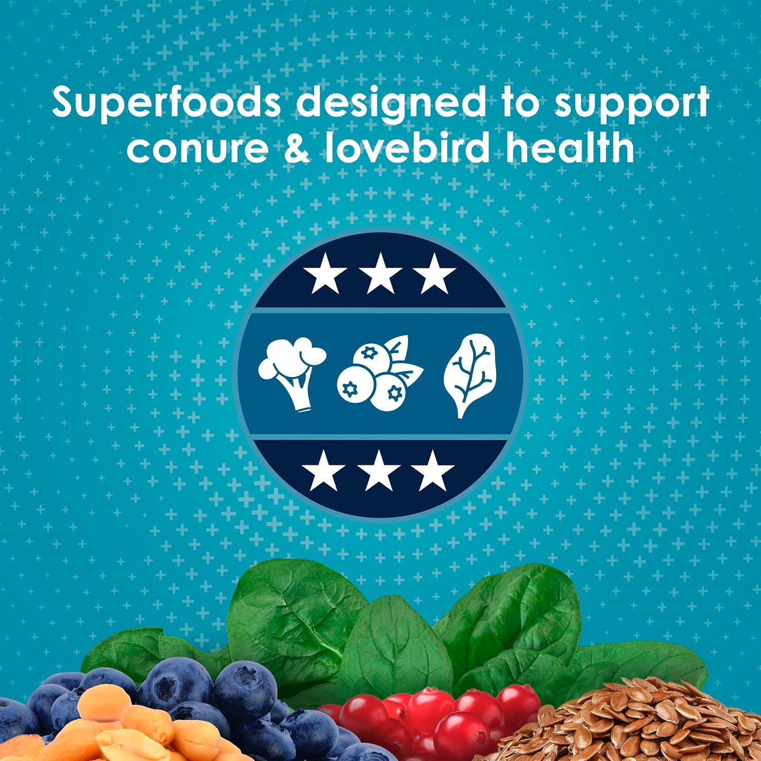 Forti-Diet Pro Health Nourish+Protect Conure & Lovebird Food, 4 lb | Balanced digestion. Conure food with prebiotics
