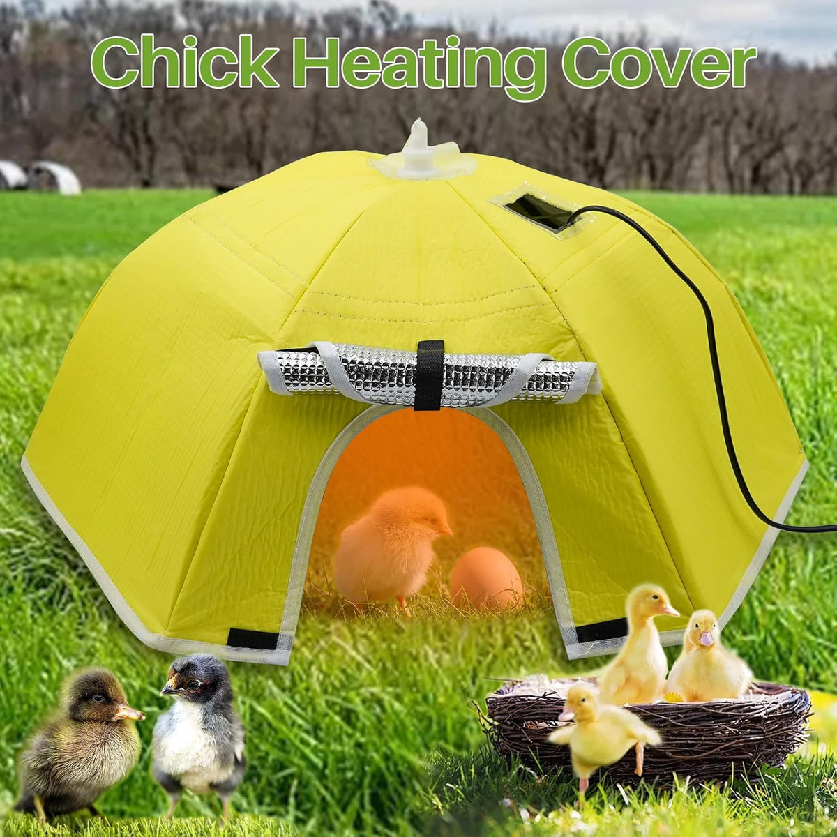 Chicken Brooder Box for Chicks