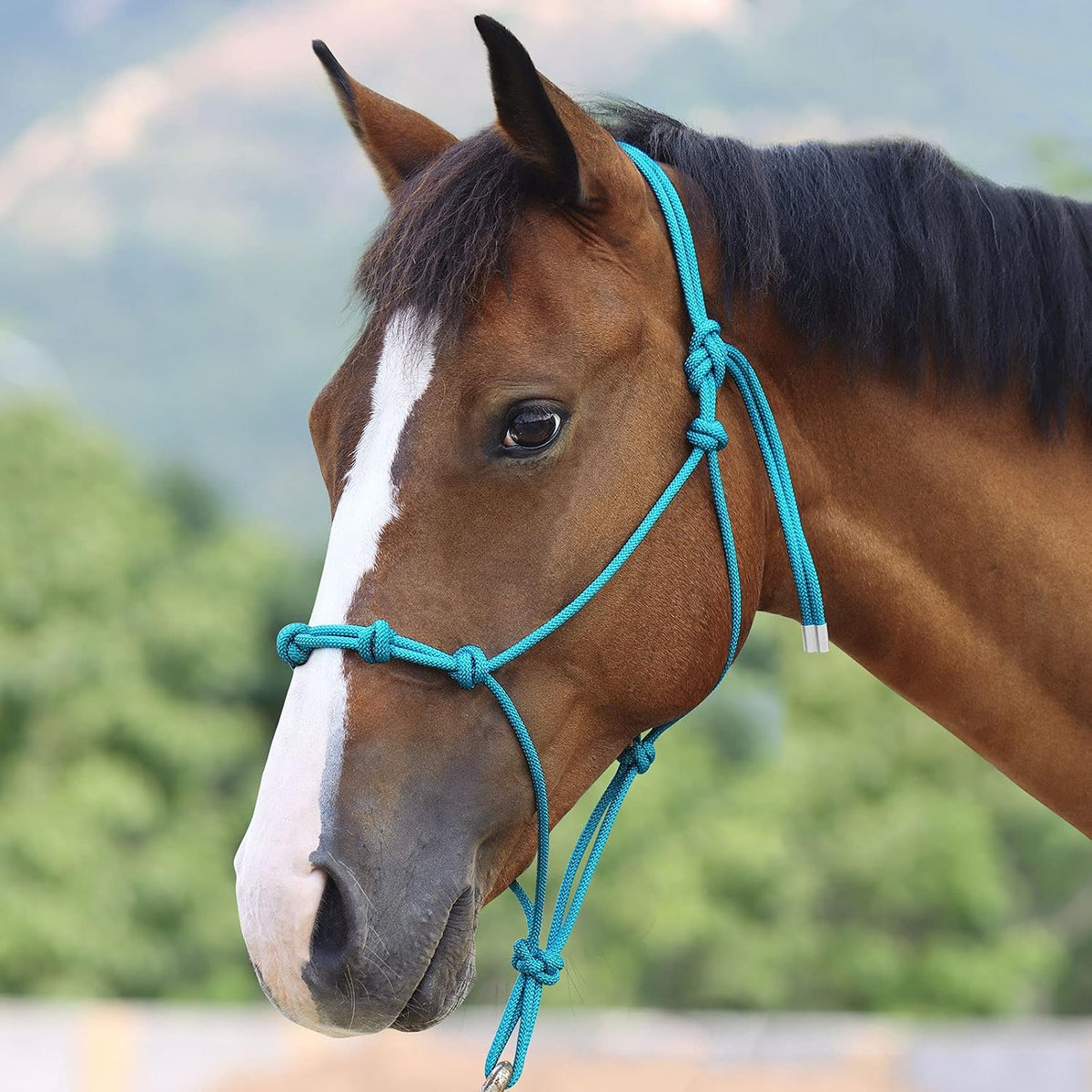 Super Sturdy Horse Rope Training Halter with 4 Knot 1/4" Stiff Halter Cord