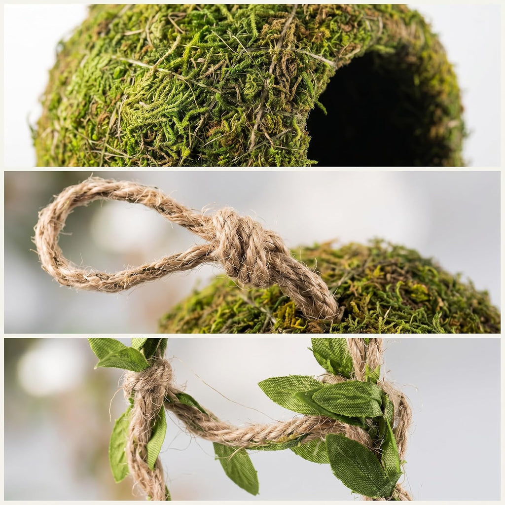 Reptile Hide with Hanging Climbing Ladder – Handmade Crested Gecko Tank Accessories, Hide for Crested Gecko, Hermit