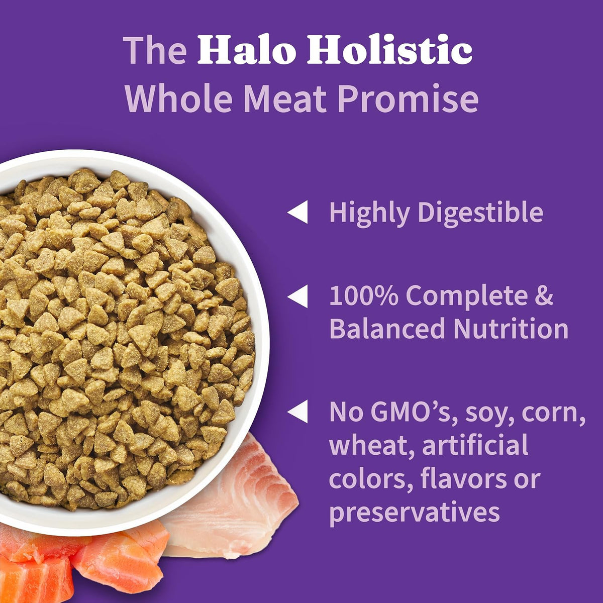 Holistic Indoor Dry Cat Food, Wild-Caught Salmon & Whitefish, 6 lb