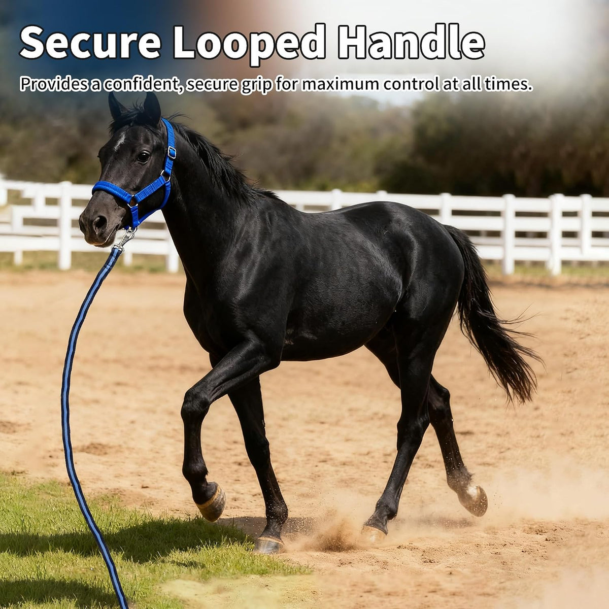 26FT Horse Lunge Line with Tangle-Free Swivel Snap,Quick Release,Heavy Duty Flat Training Rope for Lunging