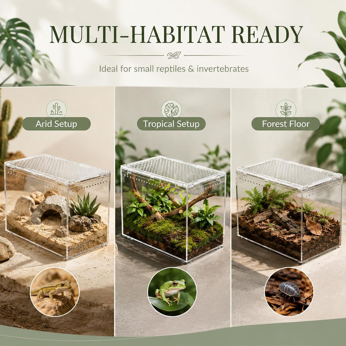 Large Clear PC Reptile Terrarium, 11.81×7.87×5.91 Inch Ventilated Habitat with Magnetic Door for Gecko, Frog