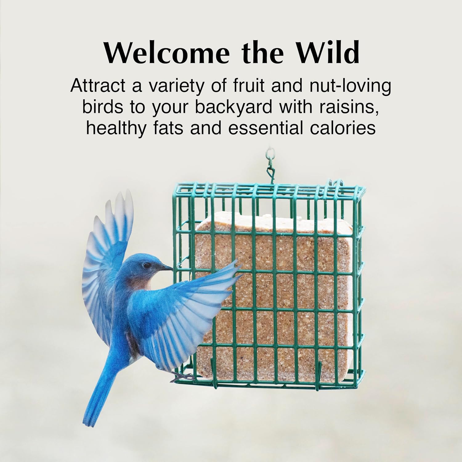 Party Mix Suet Treat, Suet Cakes for Wild Birds, Pack of 8 | Suet cakes for woodpeckers, made with real party mix