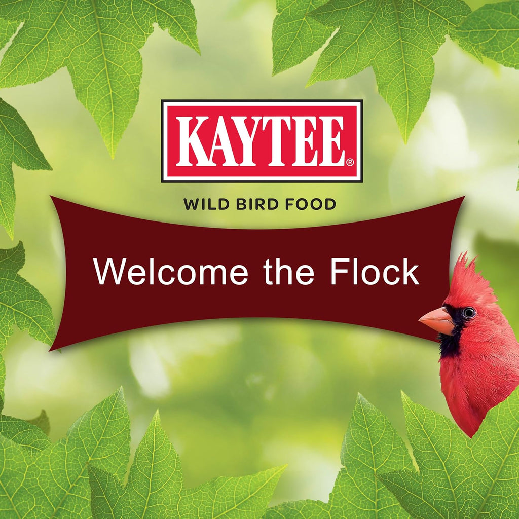 Cardinal Seed Cake, Wild Bird Food, 1.85 Pounds