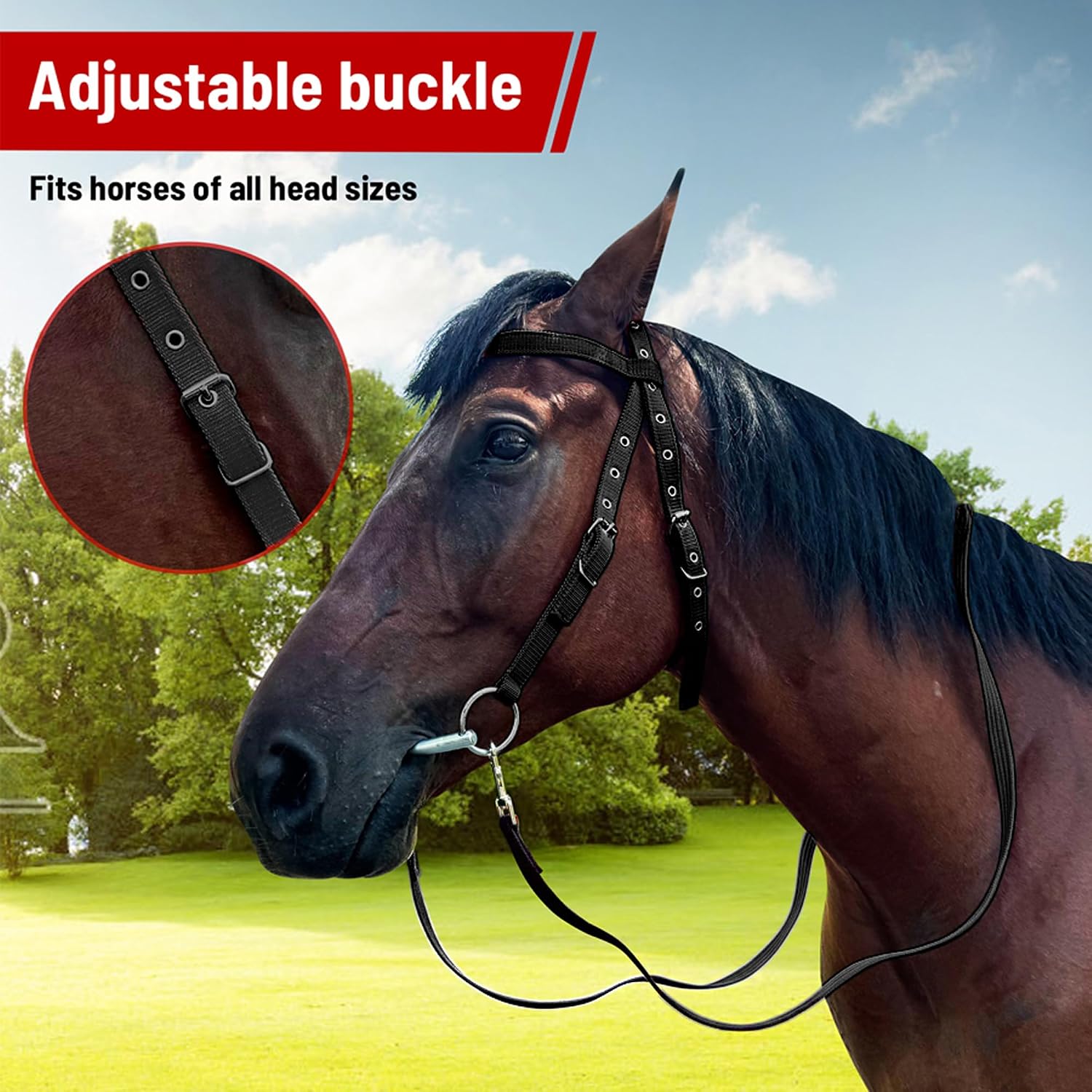 Adjustable Horse Bridle with Stainless Steel Bit - Equestrian Bridles and Horse Headstall（Black L