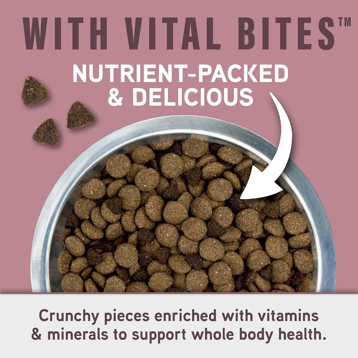 Specialized Nutrition Dog Food, Salmon & Oatmeal, 22 lb