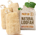 Loofah Body Scrubber - Natural Egyptian Loofah Sponge for Exfoliating Shower Bath, Organic Luffa Loofa Scrubbing