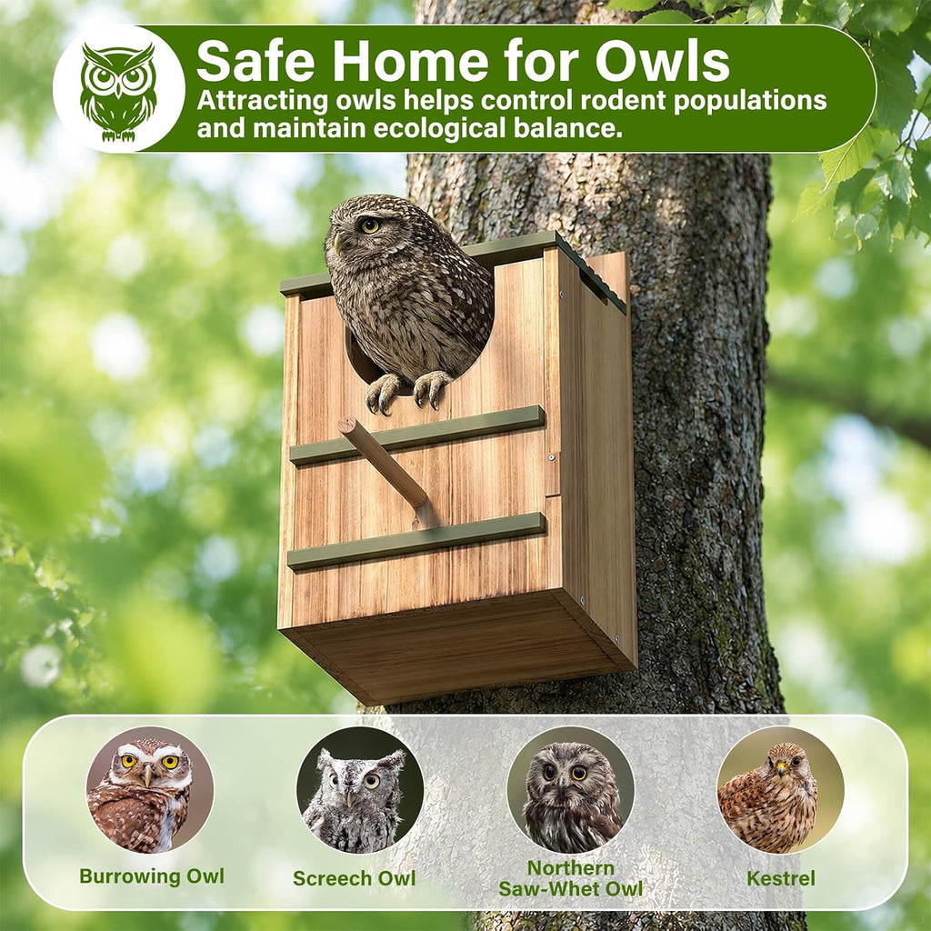 Owl House for Outside, Large Cedar Nesting Box Bird House for Screech Owl, Barred Owl, Kestrel, Weather-Resistan