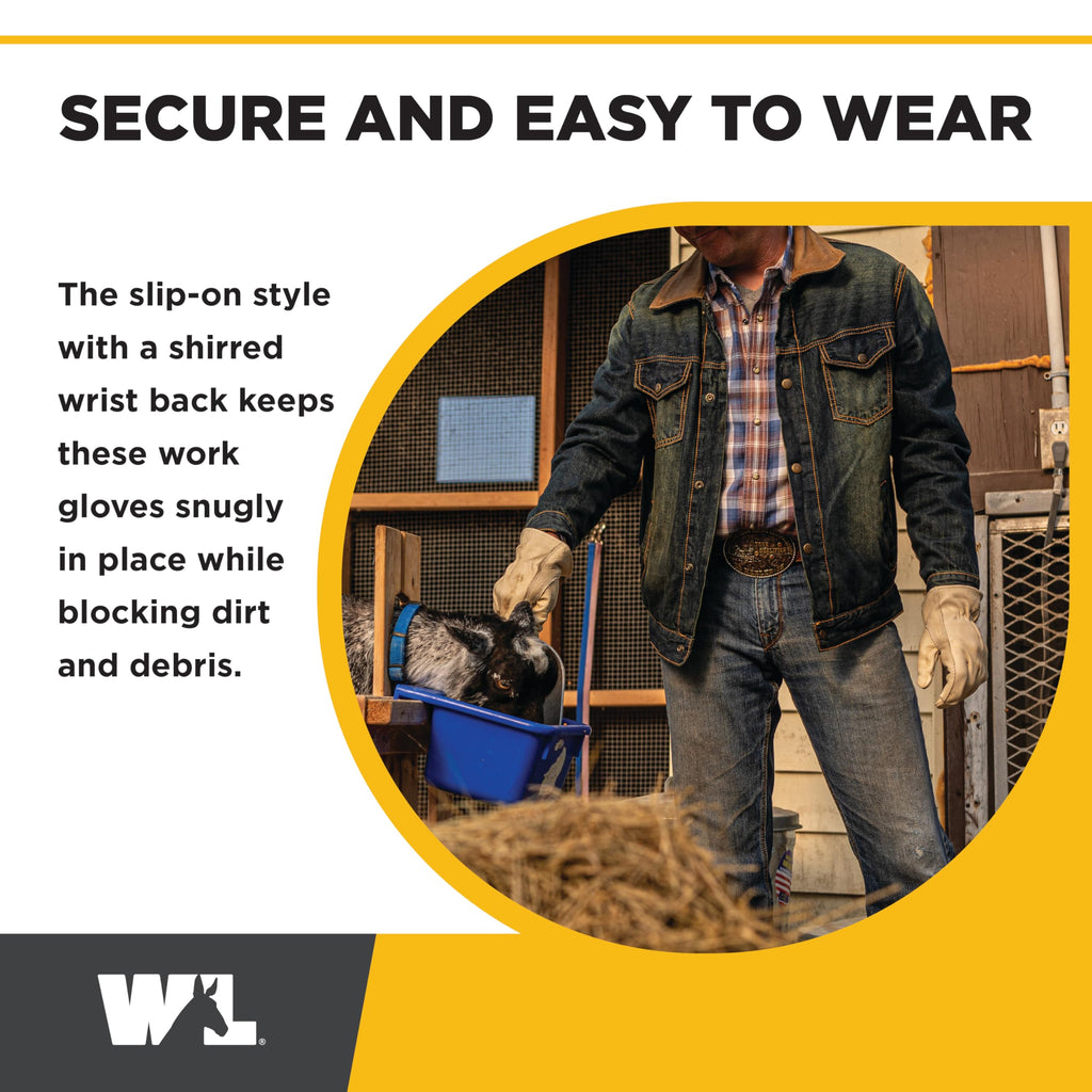 Men's Work Gloves, Cowhide Leather, Reinforced Palm, Medium