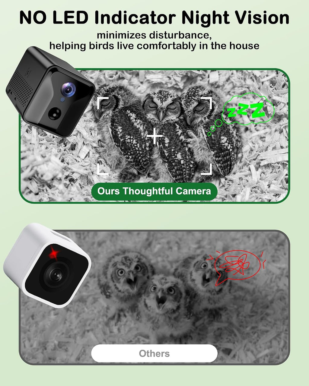 Owl Nesting Box with Camera,4G Cellular,Screech Owl House