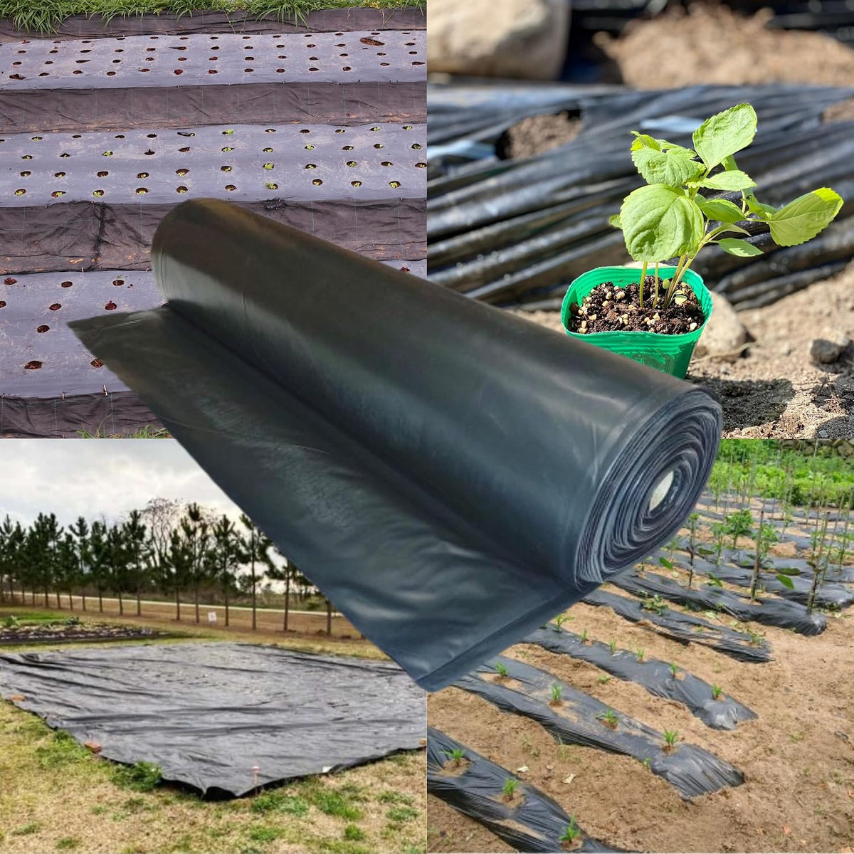 Weed Control 6 Mil Black Plastic Sheeting - Heavy Duty Weed Barrier Landscape Fabric for Outdoor Gardens, Non Woven