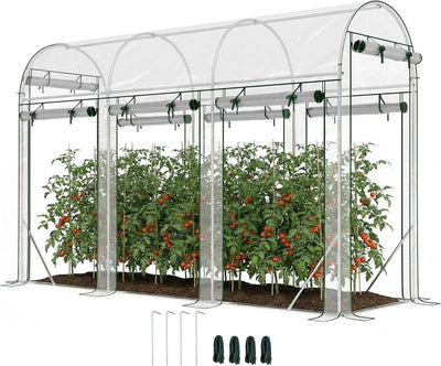 Walk-in Tunnel Greenhouse 10' x 3' x 6.5' 8 Roll-Up Doors Clear | Galvanized Steel Frame, Hoop House, Plant Hot House