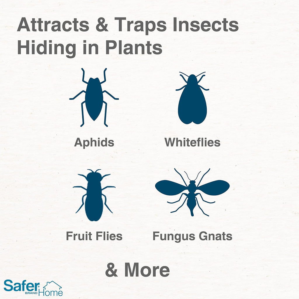 Brand Home SH5026 Houseplant Sticky Stake Insect Traps for Indoor Plants - 16 Traps Included - Controls Aphids