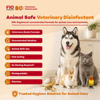 SC Concentrated Veterinary Disinfectant Odorless - 100ml