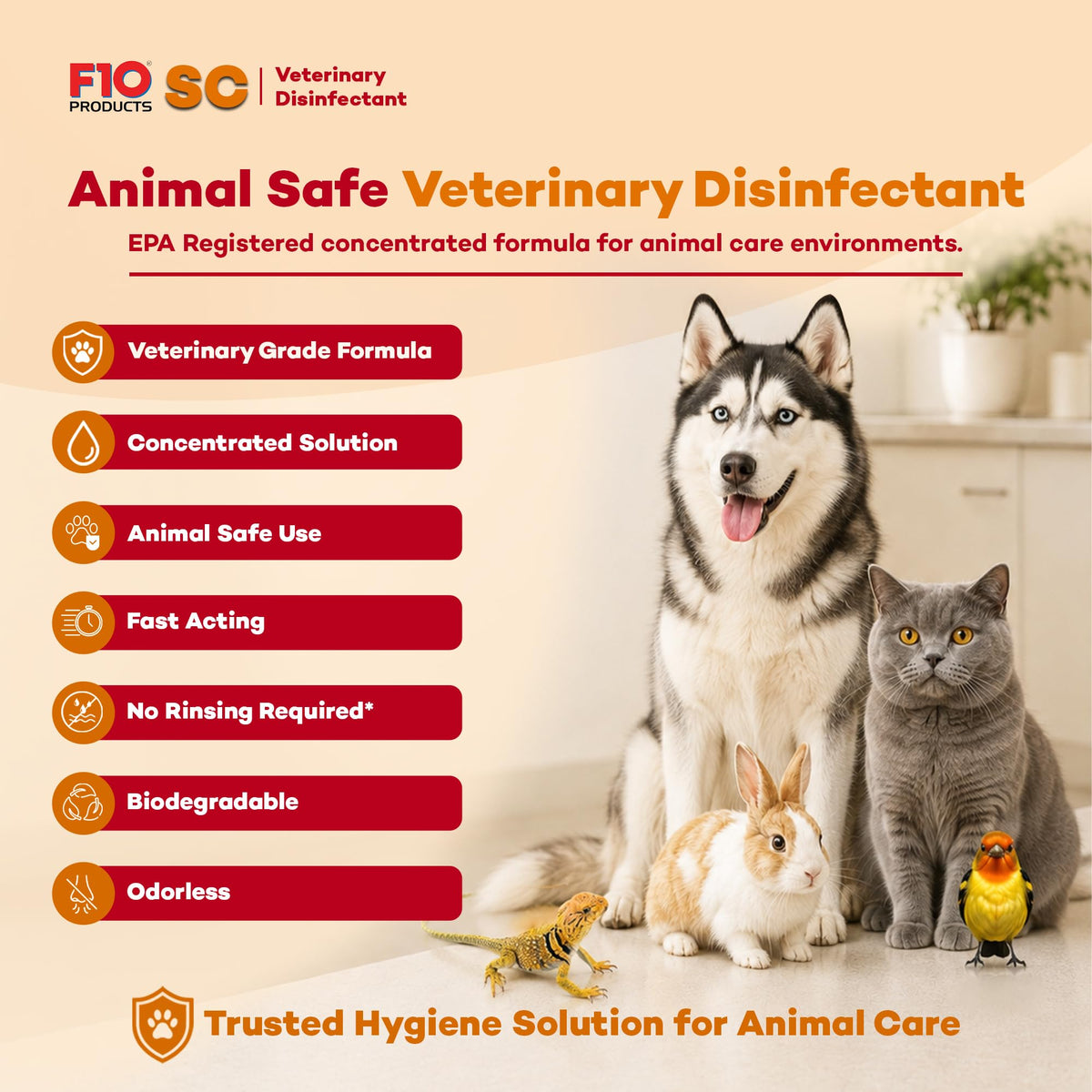SC Concentrated Veterinary Disinfectant Odorless - 100ml
