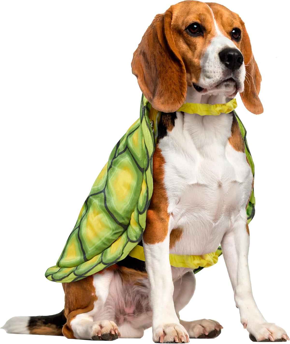 Turtle Shell Pet Costume for Dogs or Cats, L/XL