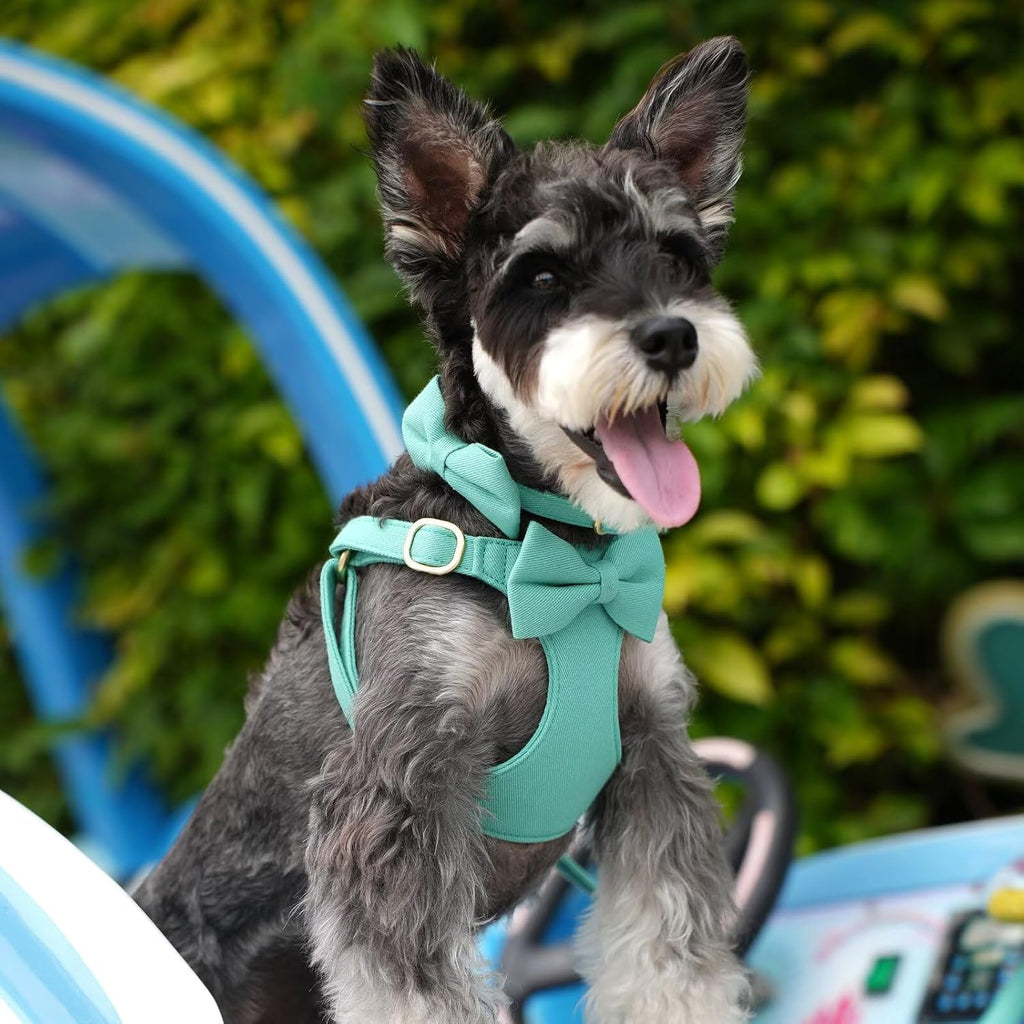 Adorable Small Dog Harness Collar and Leash Set,Cute Puppy Harness Set with 3 Bows for Small Dogs,Shih