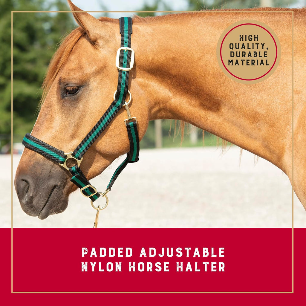 Nylon Horse Halter, Large Horse, Adjustable, 1 in