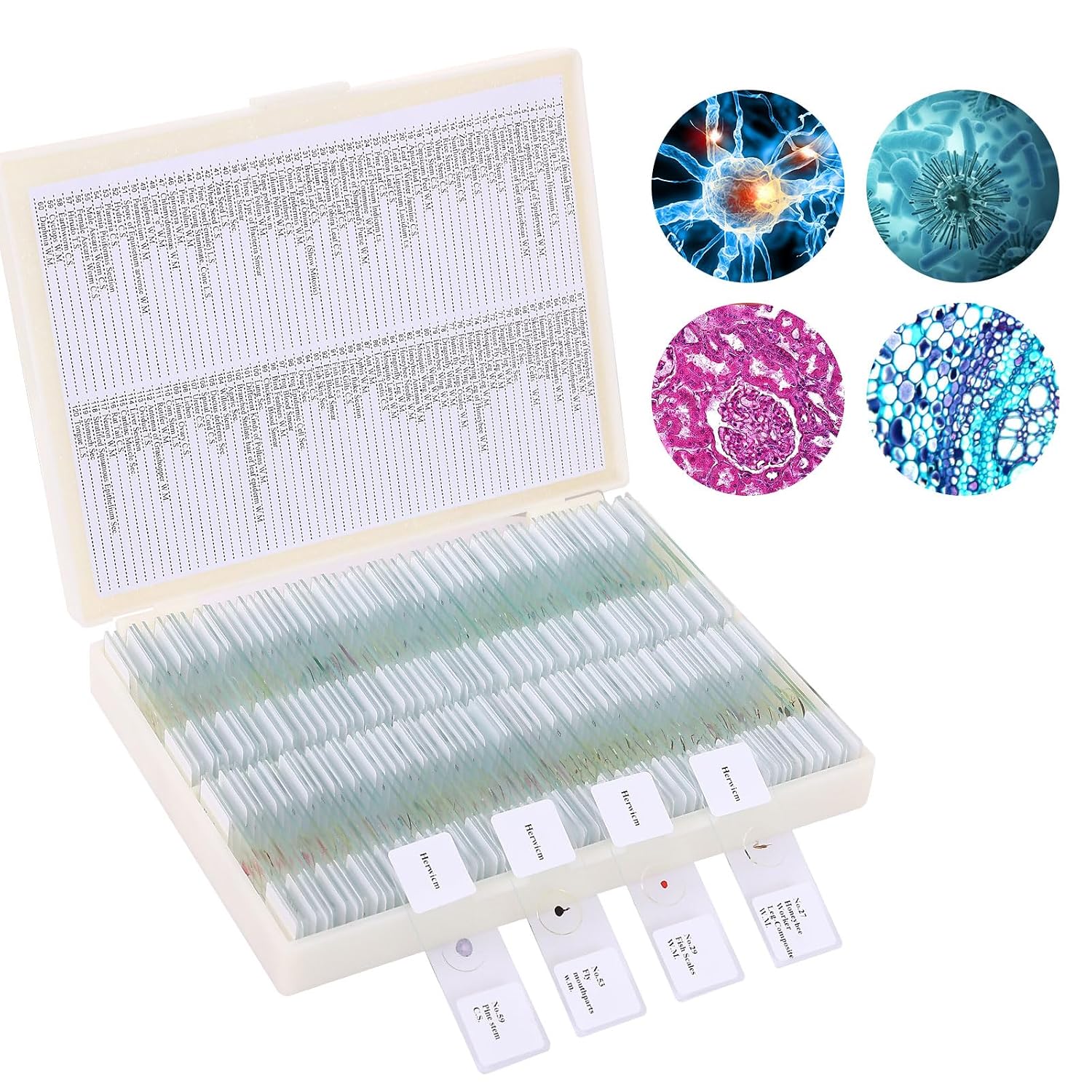 120 Microscope Slides with Specimens, Plant, Insect, Animal, Algae Slide Set for Biological Science Laboratory Basic