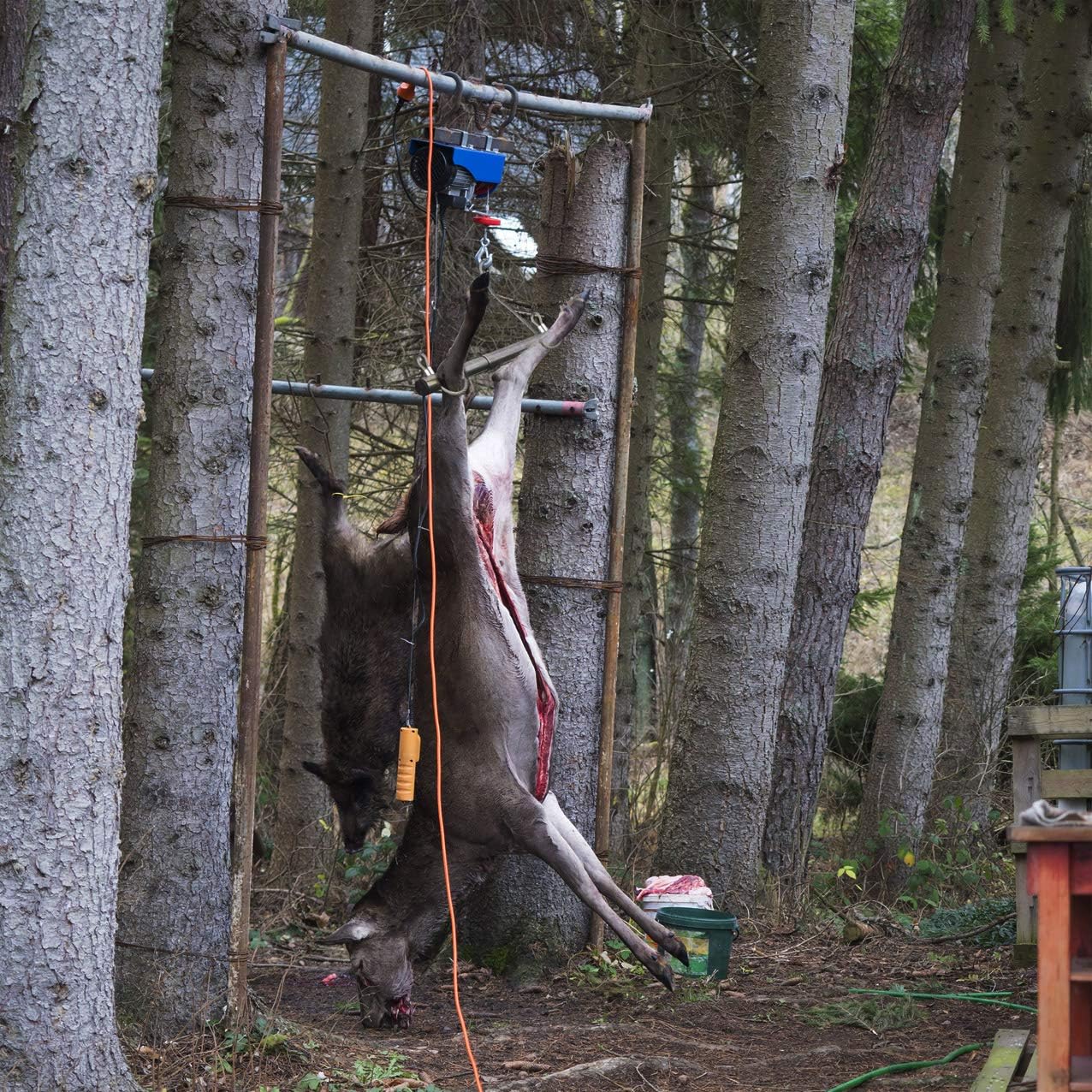 Gambrel for Deer Hoist Truck Hitch Tree Mounted Game Hanger Tripod Stand Lift Pulley System for Hunting Field