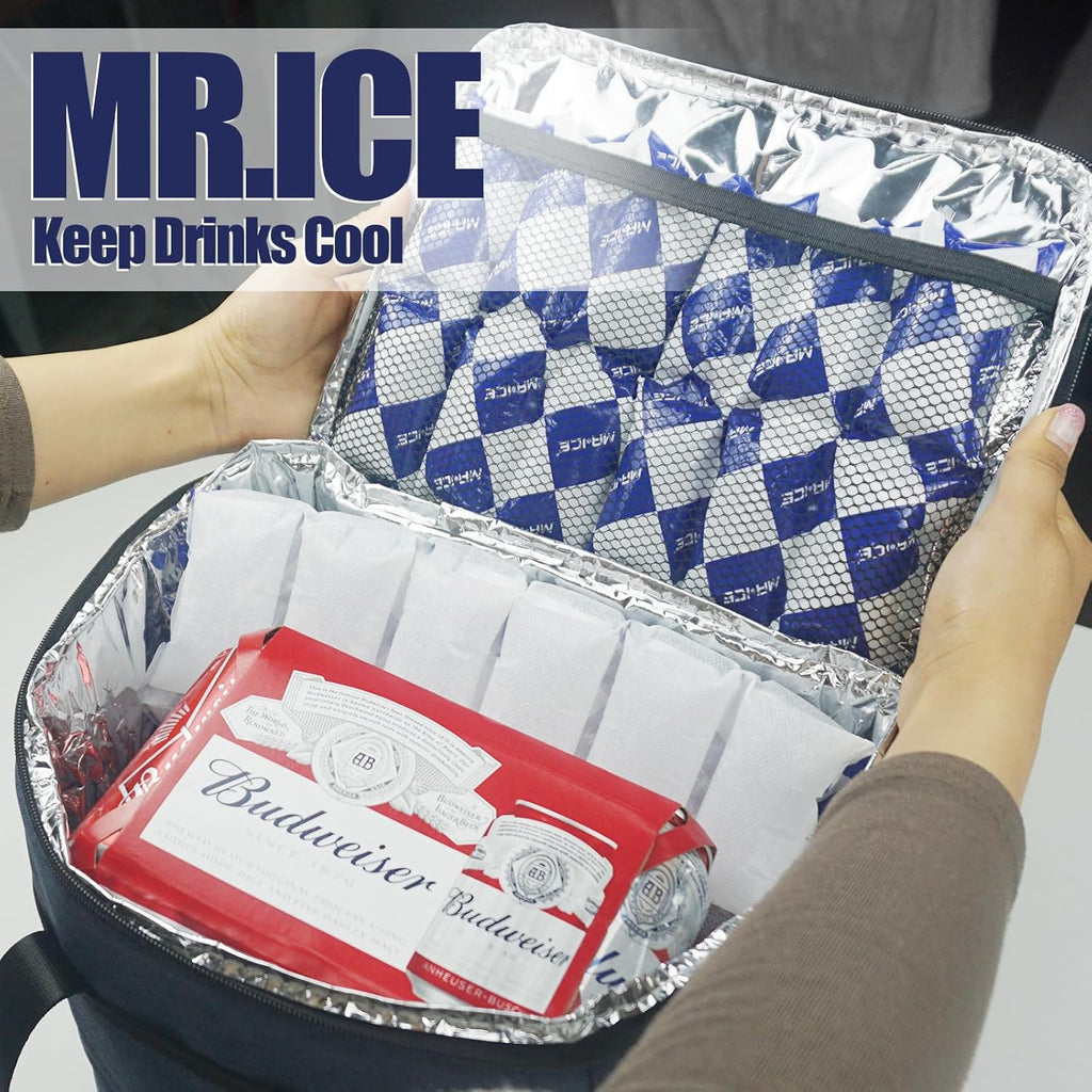 Dry Ice Packs for Shipping, Cut to Any Size, 4 Sheets, Total 96 Cells