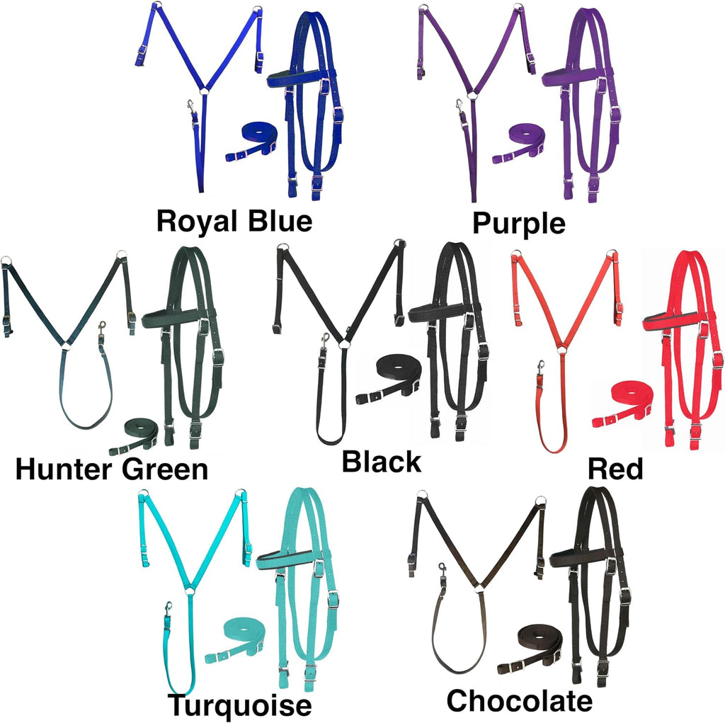 Nylon Padded Equestrian Browband Headstall, Reins & BreastCollar Set for Horse- Full