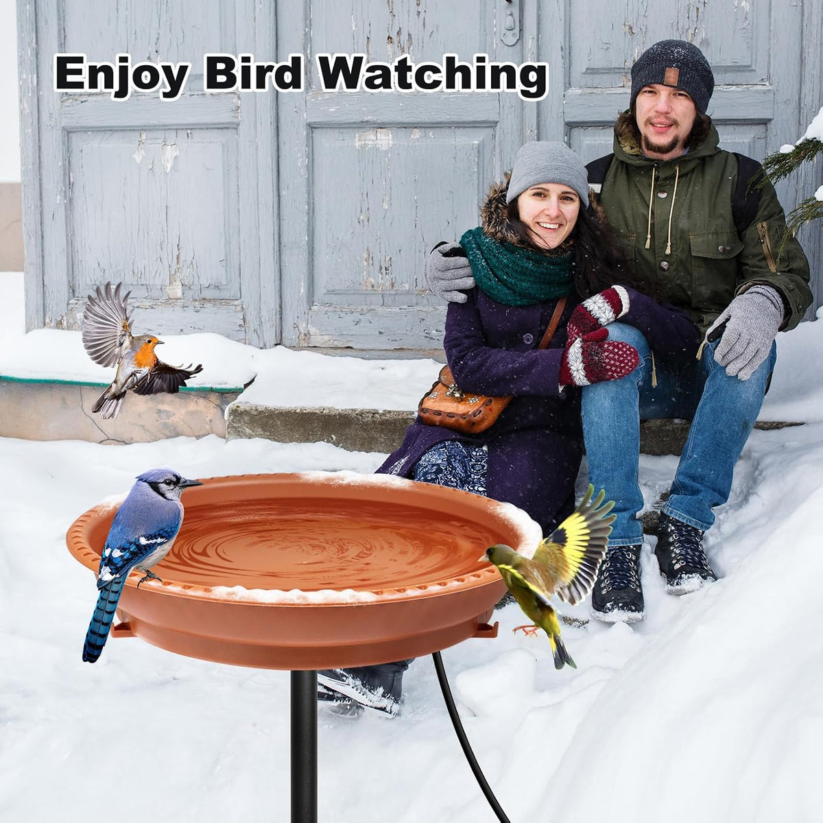 Heated Bird Bath, Stable 5-Prong Metal Base Thermostat Control Weather Resistance All Seasons Available 75W Heated