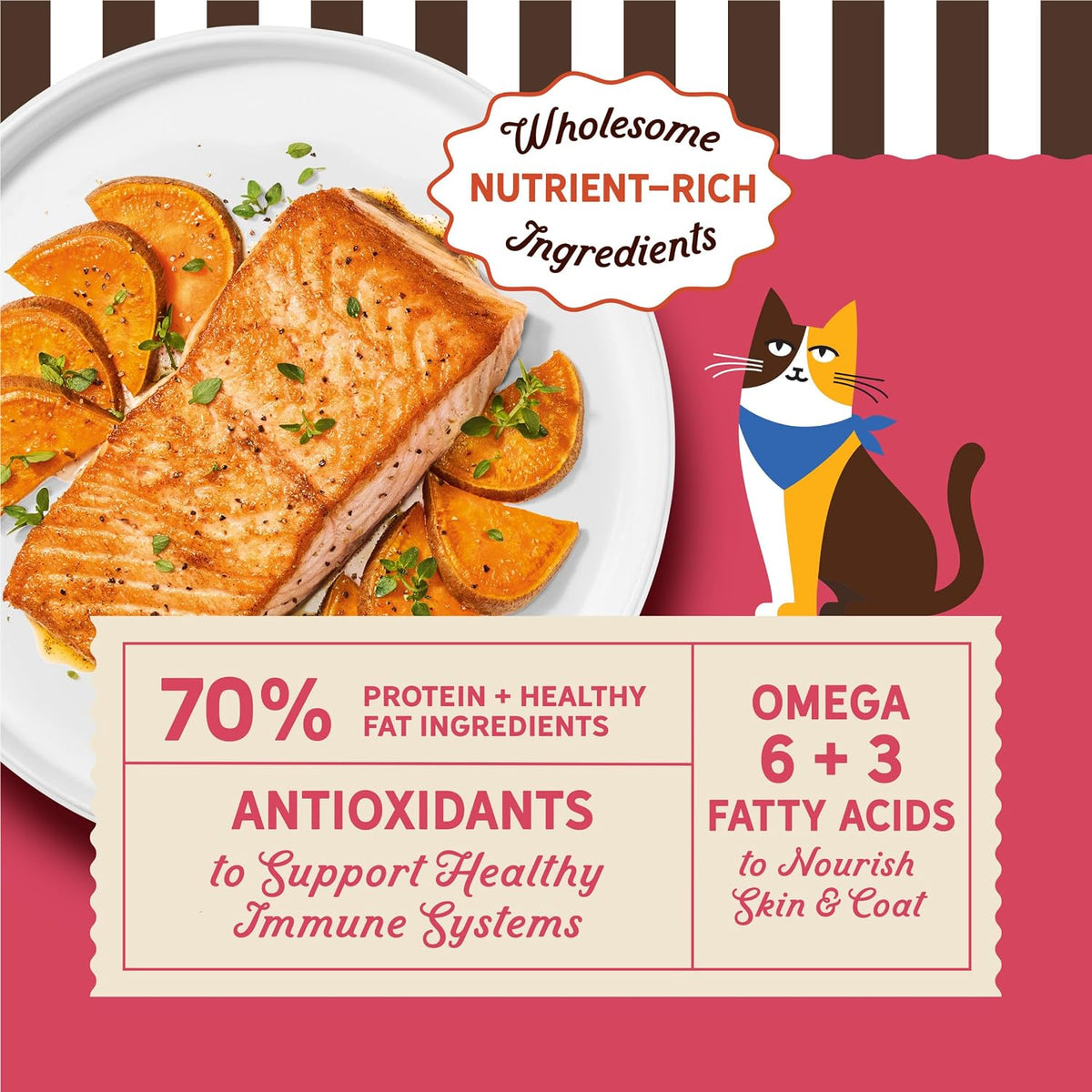 Purrfect Bistro Grain Free Dry Cat Food with Salmon, 4 lb Bag