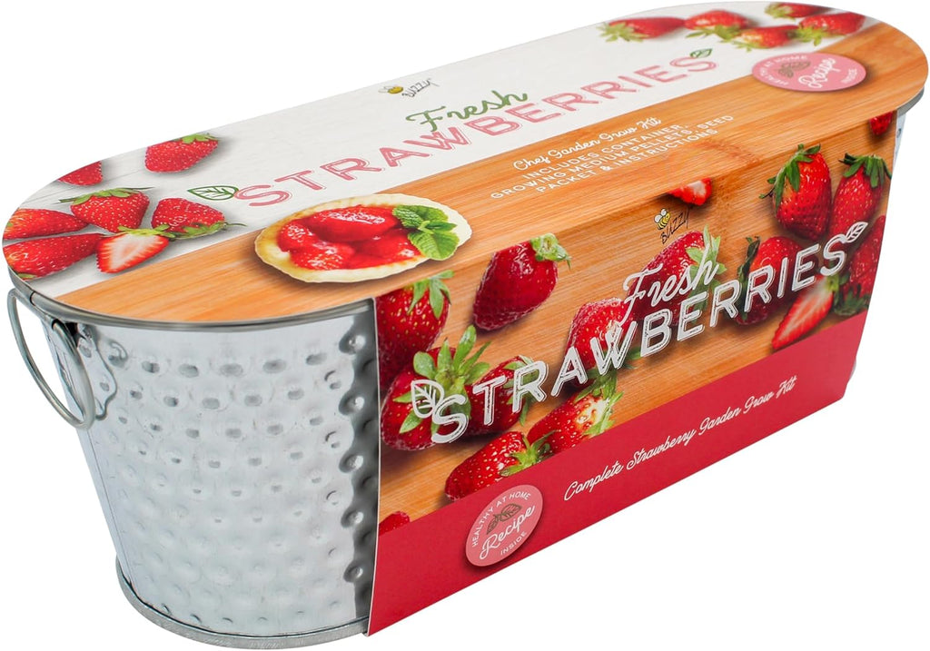 Seeds Alpine Strawberry Grow Kit - Metal Windowsill Planter - Complete Indoor/Outdoor Gardening Kit with Seeds