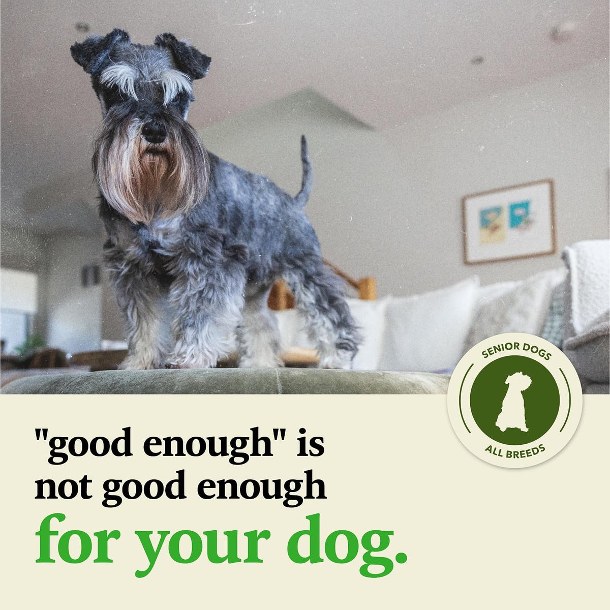Grain Free Dry Dog Food Senior Recipe 25lb Bag