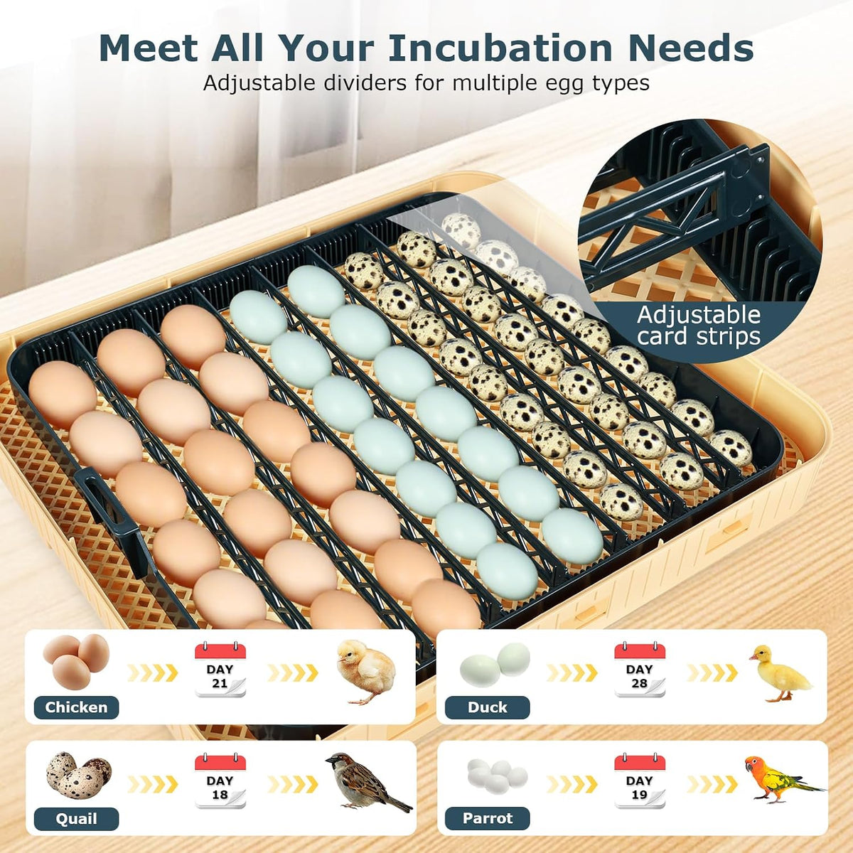 Incubators for Hatching Eggs, 56 Eggs Incubator with Egg Candler, Auto Egg Turner, Temp & Humidity Control, Hatch