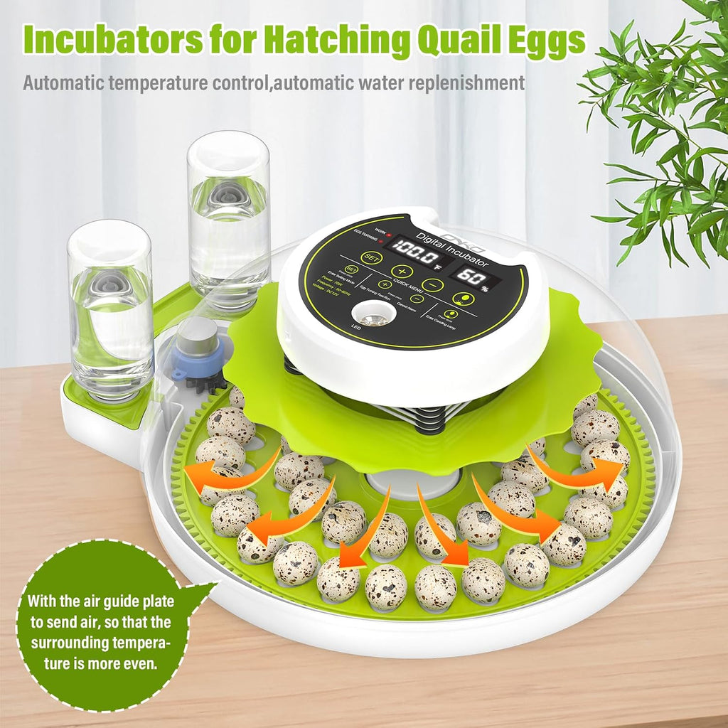40 Quail Egg Incubator with Automatic Egg Turning Humidity Control Eggs