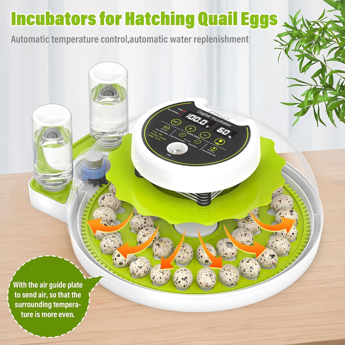 40 Quail Egg Incubator with Automatic Egg Turning Humidity Control Eggs