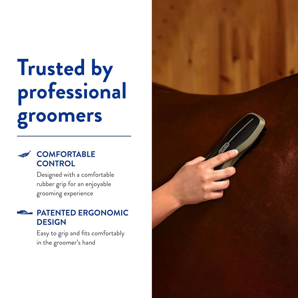 Professional Animal Equine Stiff Body Horse Brush, 858705, Black